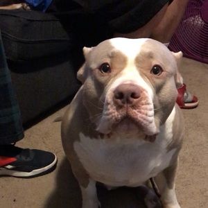 Meet your Posher, Micheall